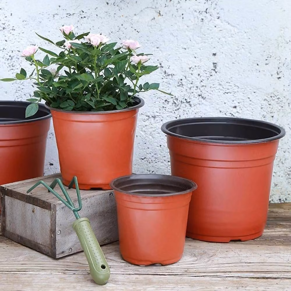 SPETLEK 100 Pack Brown Plastic Plant Pots, 10 cm – 3