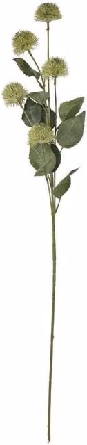 Hill Interiors Green Globe Thistle Artificial Flower Spray – 1
