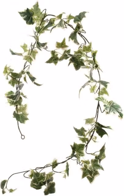KDMD Holland Ivy Garland Green 182.88 cm