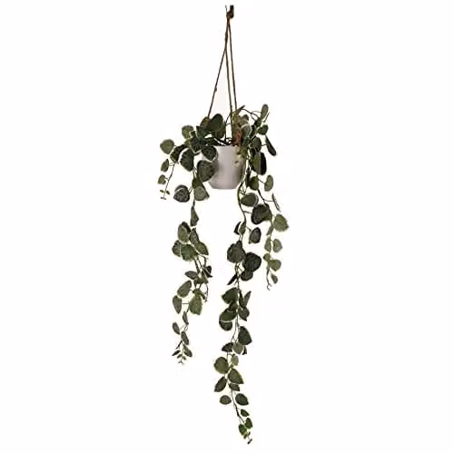 Leaf String of Hearts Artificial Hanging Green Plant with White Pot, Height: 90 cm – 1
