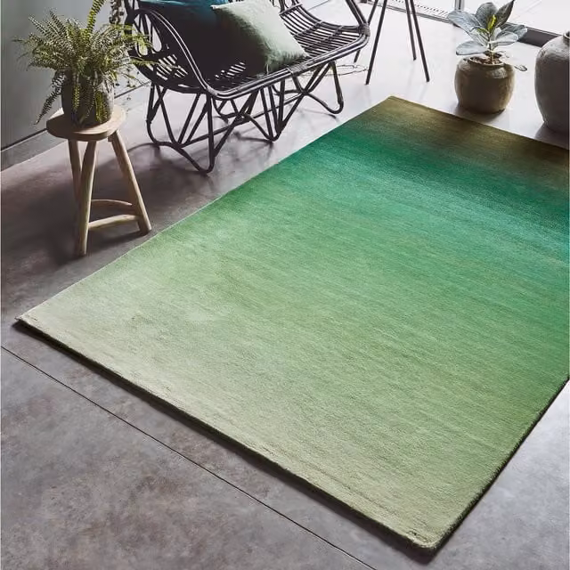 Asiatic Carpets Modern Green Gradient Wool Rectangular Area Rug W: 160 cm, L: 230 cm