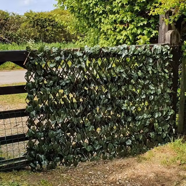 True Products Artificial Maple Leaf Ivy on Woven Willow Trellis, Green, H x W: 200 x 100 cm