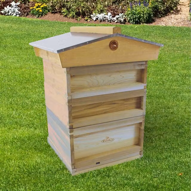 Actiasbee National Pine Beehive Starter Kit in Brown with Frames and Wax Foundation