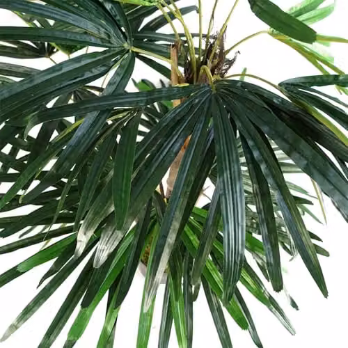 Leaf Large Green Artificial Palm Tree – 2