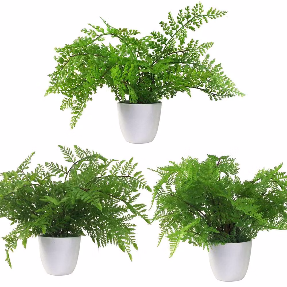 Leaf Pack of 3 Green Artificial Potted Ferns, Height: 30 cm – 2