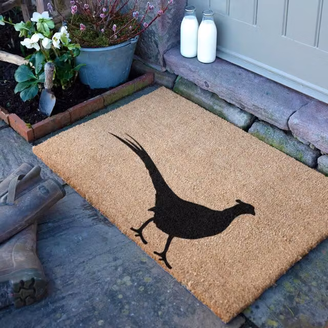 Artsy Mats Country Home Pheasant Doormat in Black and Multicolour, W: 90 cm, D: 60 cm