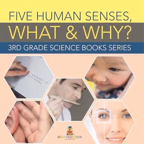 Baby Professor Five Human Senses, What & Why? 3rd Grade Science Book, Multicolour