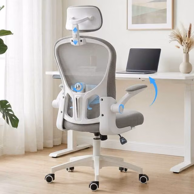 Rolipo Grey Mesh Task Chair with Lumbar Support, Headrest and Armrests
