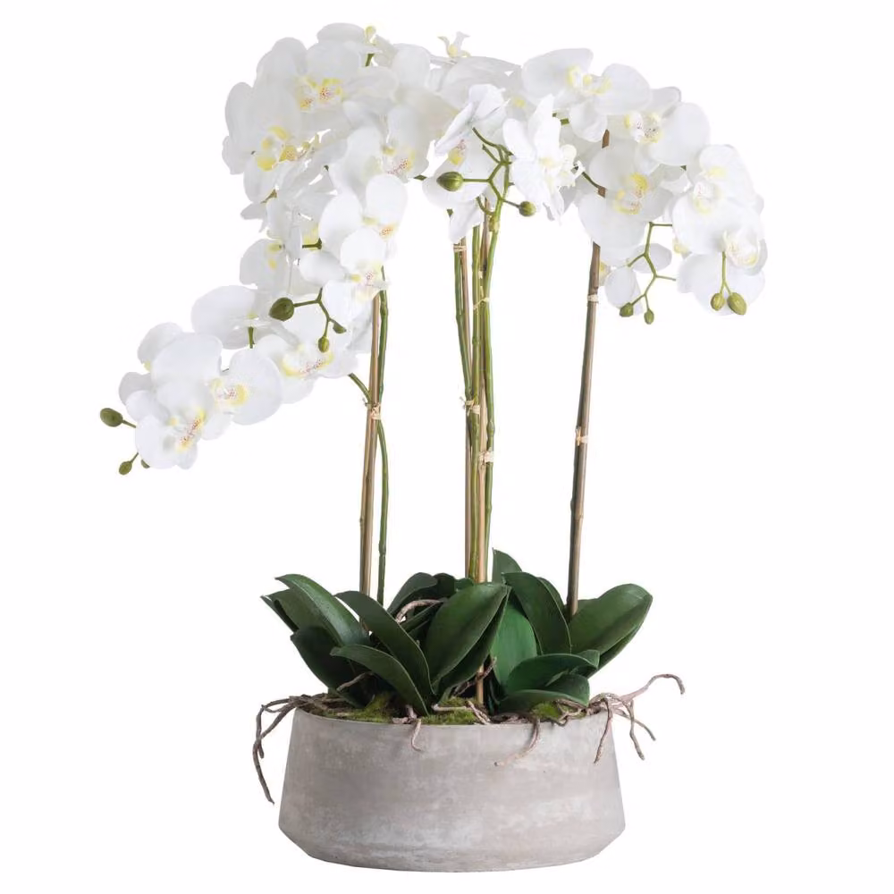 Wyld Haus Large White Artificial Orchid in a Round Textured Stone Pot – 2