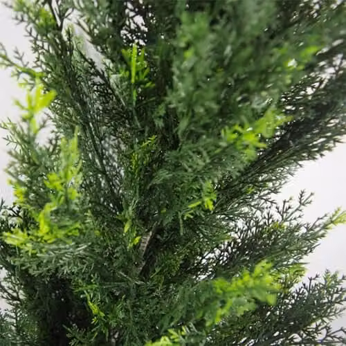 Leaf UV Resistant Artificial Cedar Cypress Topiary Tree in Green, H 120 cm x W 35 cm x D 35 cm – 2