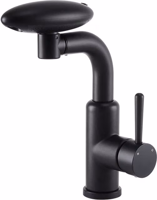 Darphe Matt Black Stainless Steel Kitchen Mixer Tap with Pull-Out Sprayer and Swivel Spout