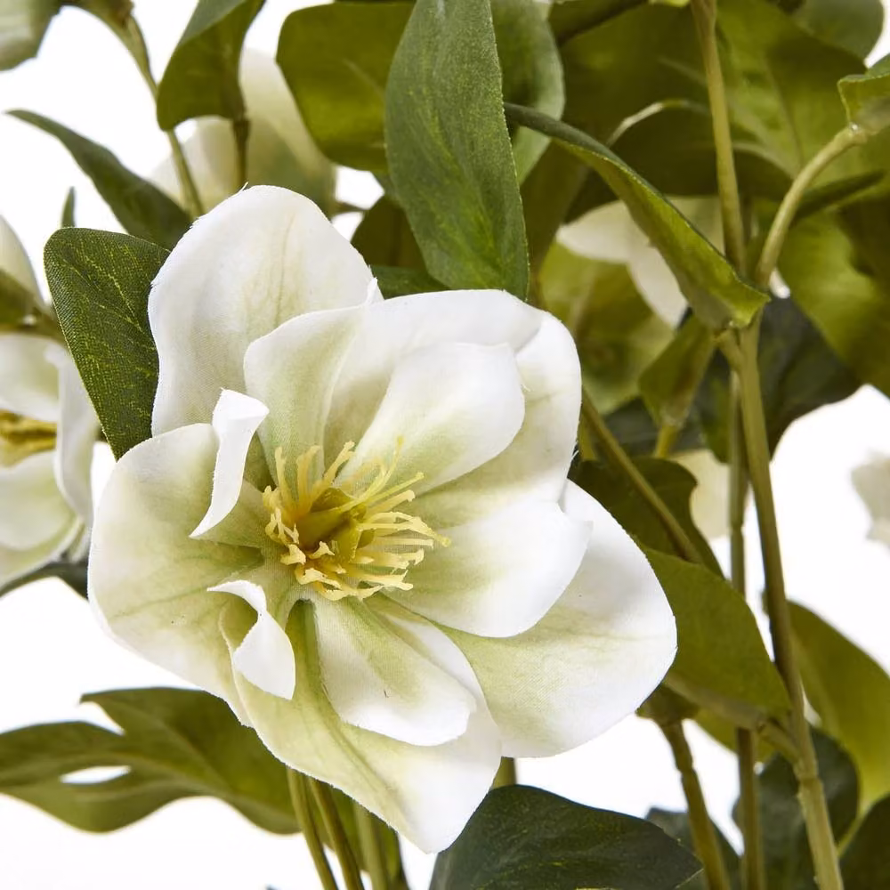 Wyld Haus White Hellebore Artificial Tabletop Plant in a Grey Ceramic Pot, H 41.0 cm x W 33.0 cm x D 33.0 cm – 5