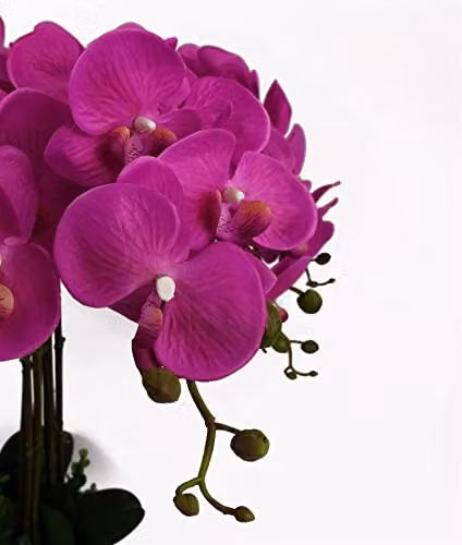 Leaf Design UK Potted Artificial Orchid Flower Display in Pink and Black, Height: 85 cm – 4