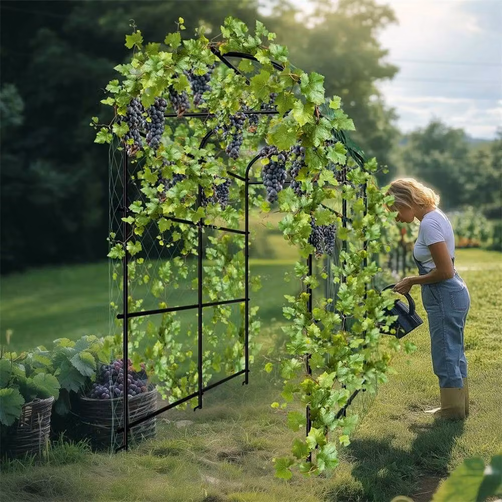 Hinsinc U Frame Black Garden Cucumber Trellis Support, W: 120 cm, H: 222 cm – 3