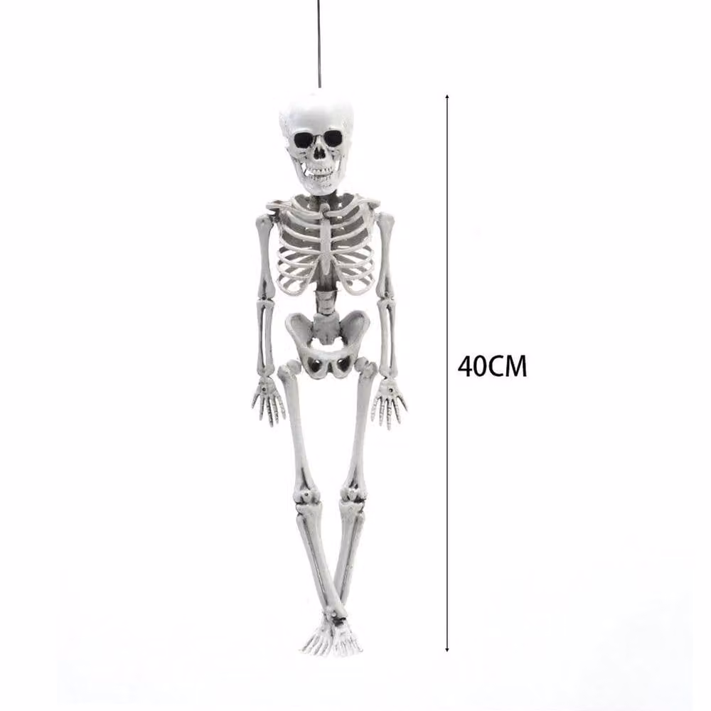 NESTLUNE Realistic White Halloween Full Body Skeleton Hanging Prop for Adults, H x W x D: 100 x 15 x 15 cm – 2