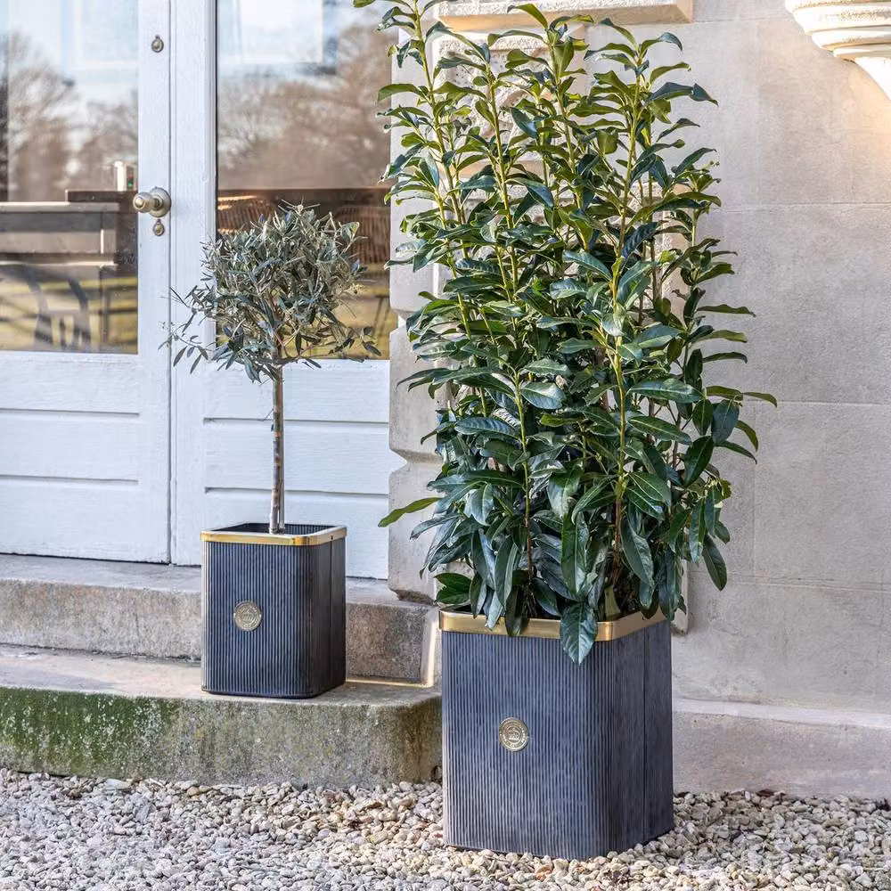 Royal Botanic Gardens Kew Richmond Antique Metal Column Planter Set of 2 in Grey and Gold – 4