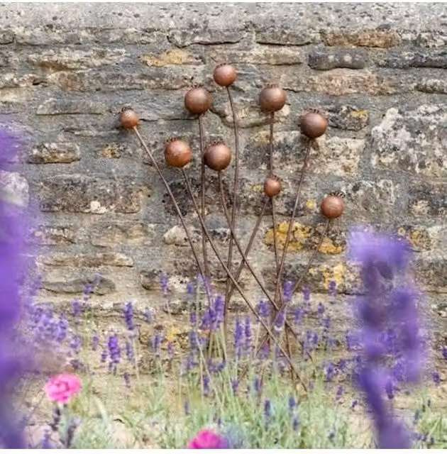 KDMD Poppy Head Botanical Wall Art in Gold, 80 cm
