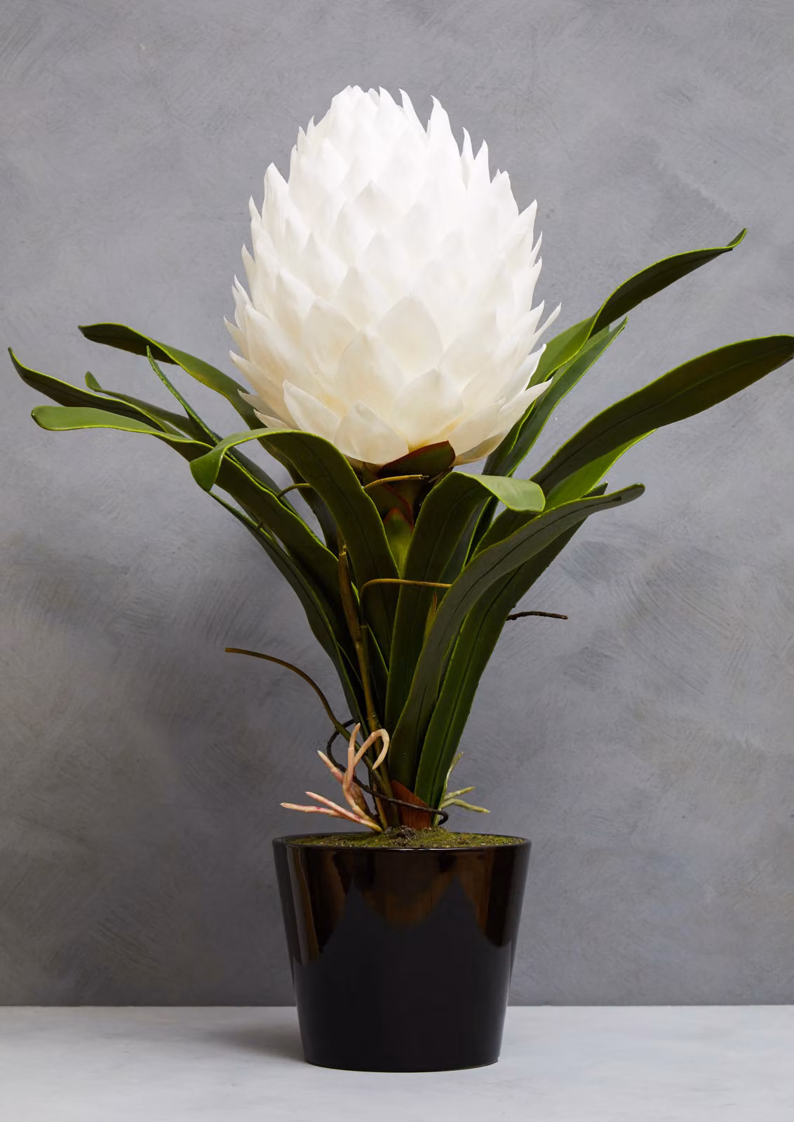 Orsina Fiori White Tropical Potted Faux Plant in Black Ceramic Tabletop Pot – 3
