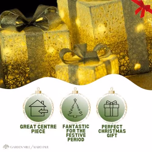 Smart Garden Gold Light Up Sparkly Faux Christmas Gift Box Decorations – 3