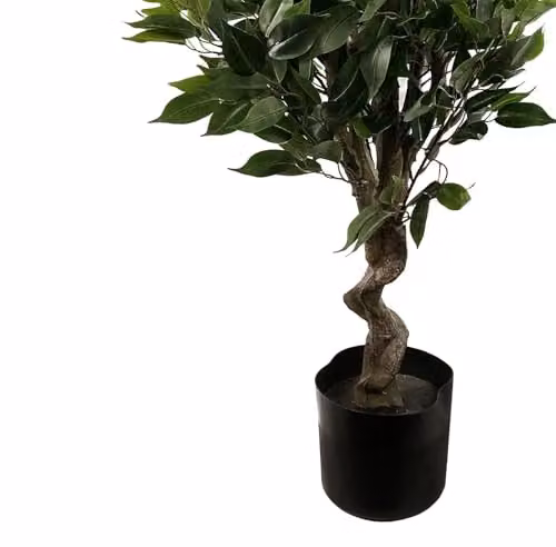 Leaf Design UK Green Artificial Ficus Twist Tree, Height: 110 cm – 3