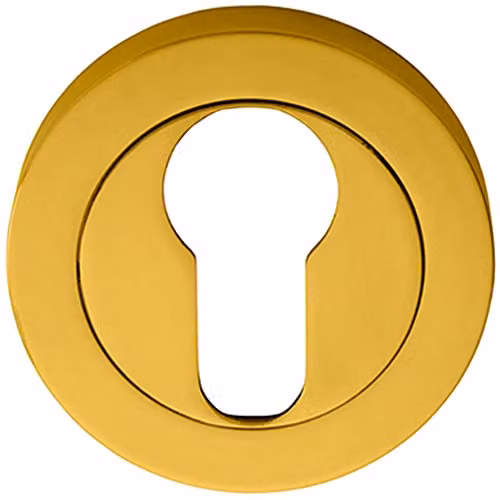 Loops 50mm Euro Profile Escutcheon with Concealed Fix in Polished Brass – 1