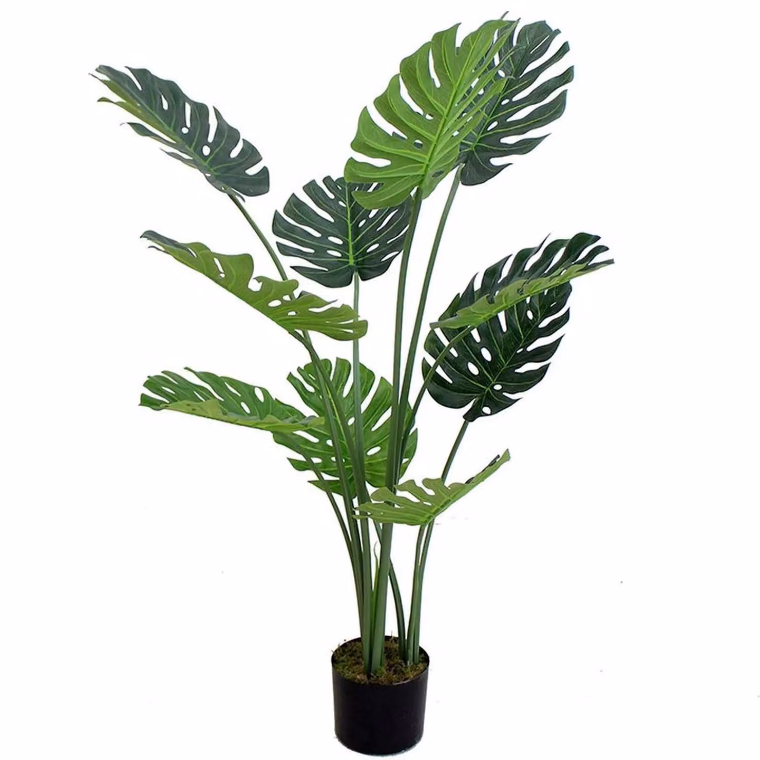 Leaf Artificial Monstera Cheese Plant in Green and White, Height: 120 cm