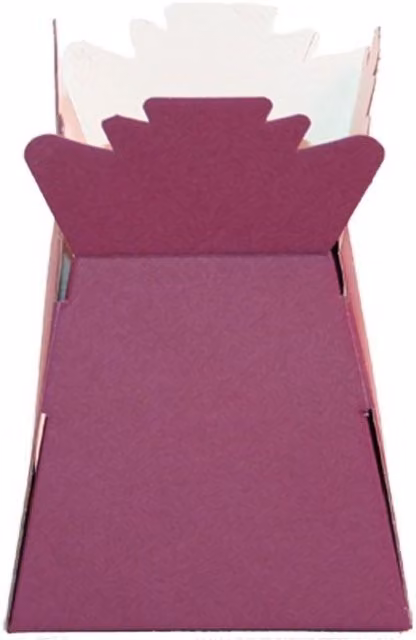 Kingsbury Gifts Flower Transporter Box Living Vase in Red and Purple