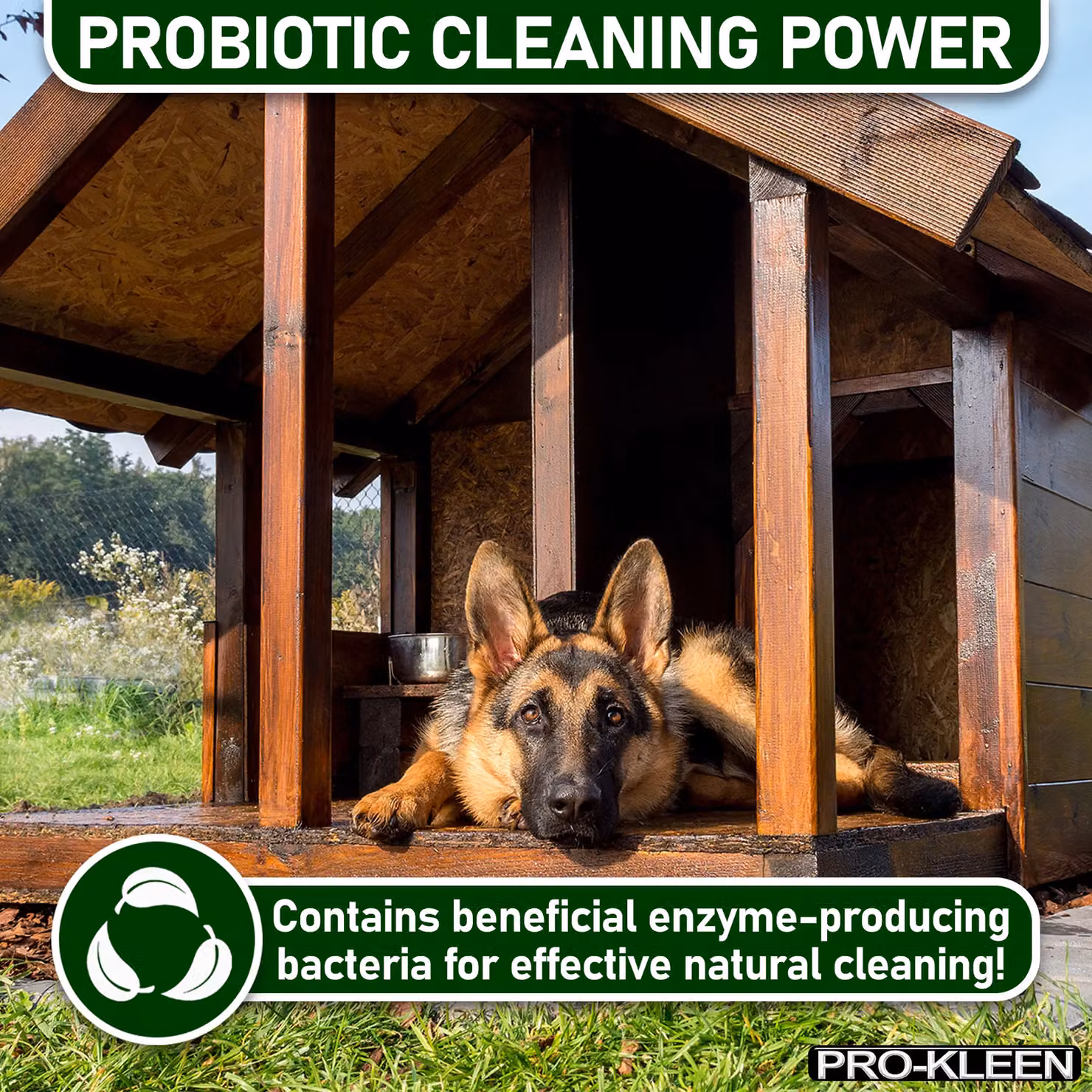 Pro-Kleen ProBiotic Kennel Cleaner Cherry Fragrance, 20 x 5 l – 6
