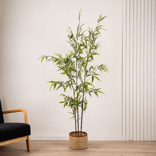 Scottish Everlastings Ltd 190cm Real Touch KD Bamboo Tree in Green and Black