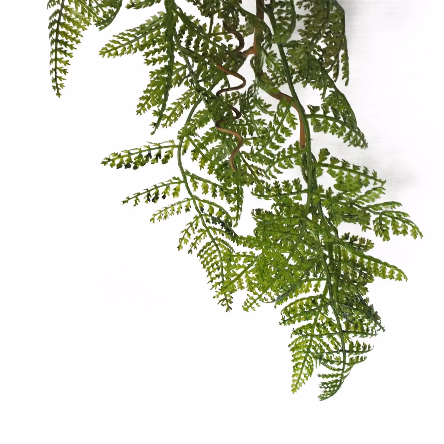Leaf Design UK Artificial Hanging Maidenhair Fern Plant, Dark Green, Height: 100 cm – 2