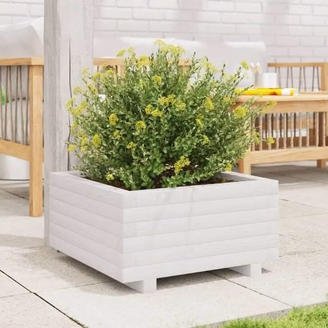 Berkfield Home Decorative White Solid Wood Pine Garden Planter Tub W: 50 cm, D: 50 cm, H: 26.5 cm – 1