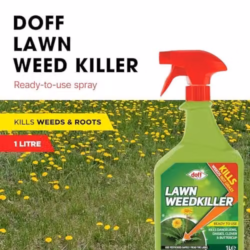 Doff Glyphosate Free Lawn Weedkiller Spray, 1 l – 2