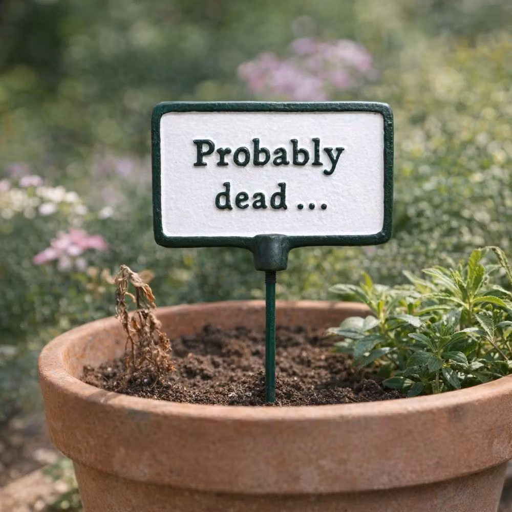 Gifts Direct 2 U Green Metal Garden Stake Plant Sign - Probably Dead – 2
