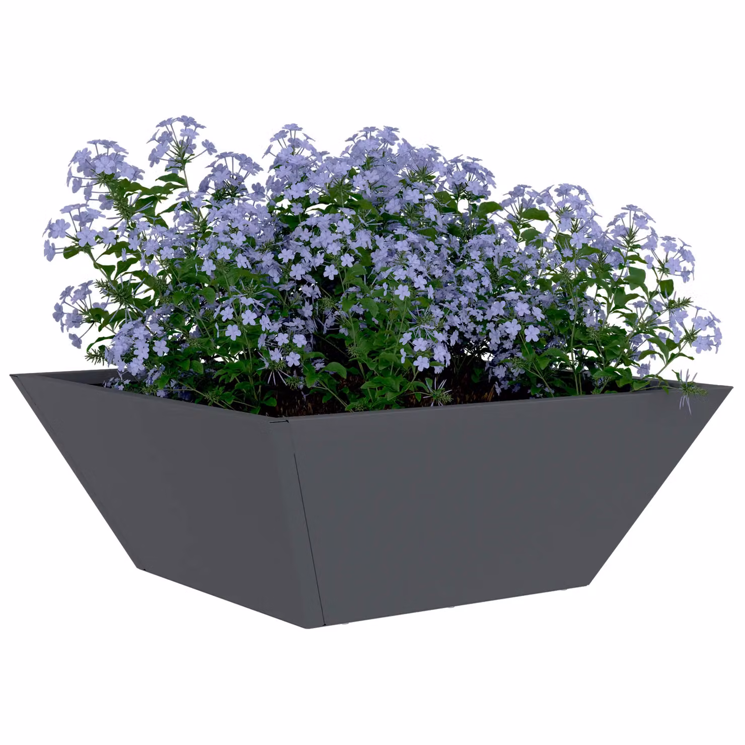 Berkfield Home Garden Bowl Planters, 5 Piece Set, Anthracite and Multicolour, W/D/H: 40 x 40 x 15 cm – 3