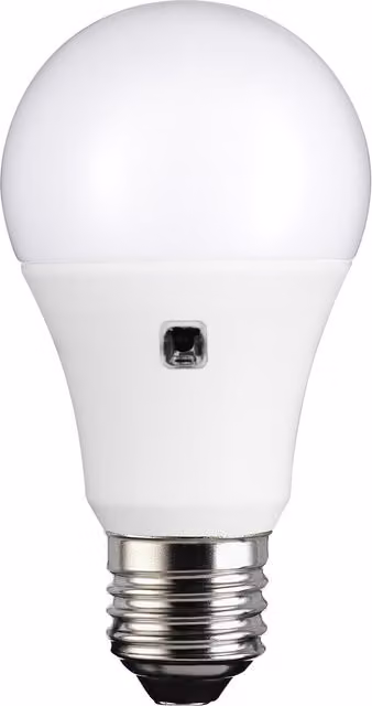 TPC Dusk to Dawn LED E27 Bulb, Warm White