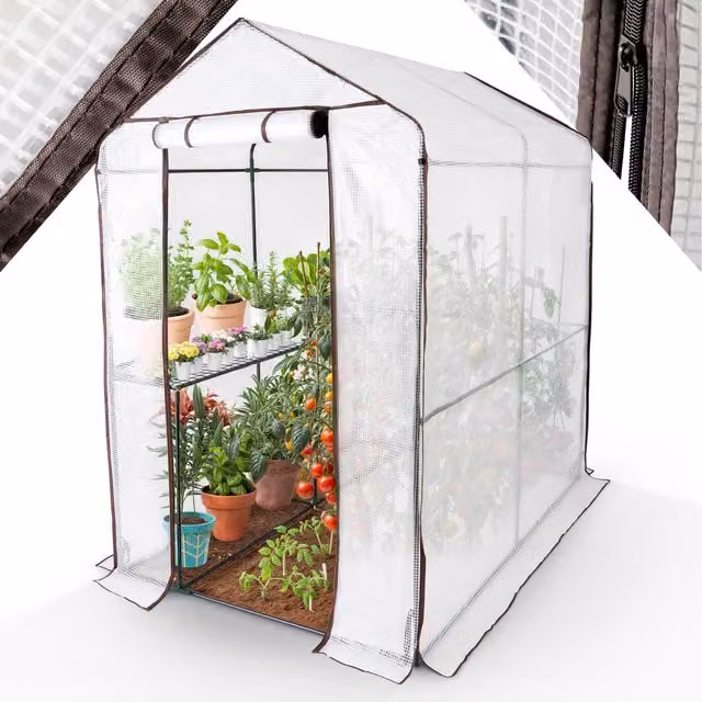 Arebos Transparent Foil Greenhouse with 2 Shelving Levels, W/D/H: 120 x 186 x 190 cm