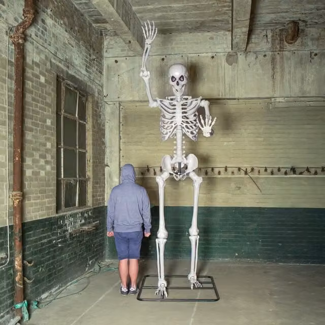 Samuel Alexander 10ft Posable Full Body Skeleton Halloween Decoration with Movable Arms and LED Eyes in White and Multicolour
