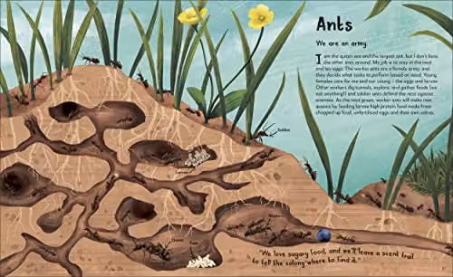 DK My Animal Family: Meet The Different Families of the Animal Kingdom Multicolour Book – 4