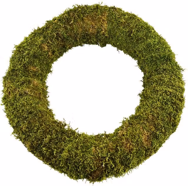 Plants By Post Eco Friendly Green Moss Christmas Wreath, Diameter: 30 cm