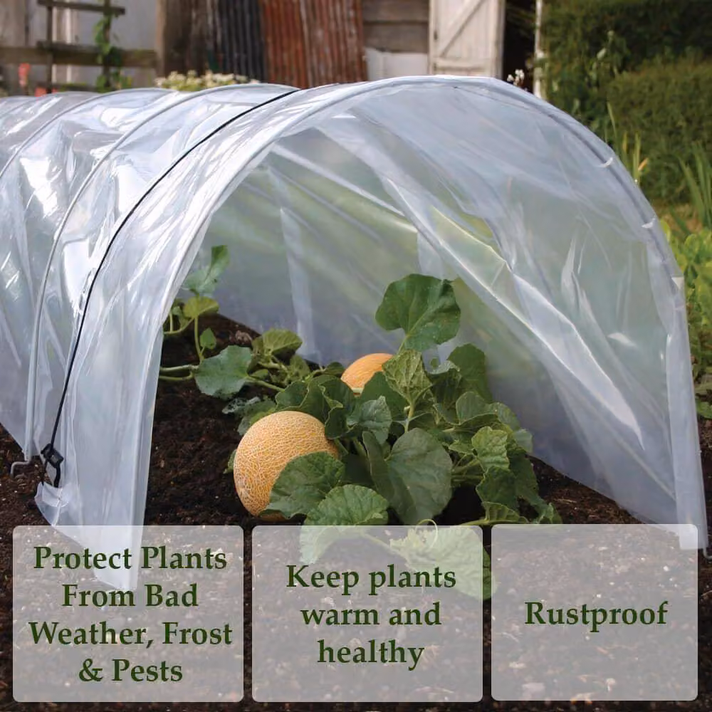 Marco Paul Clear Poly Tunnel Cloche Mini Greenhouse Growing Aid – 3
