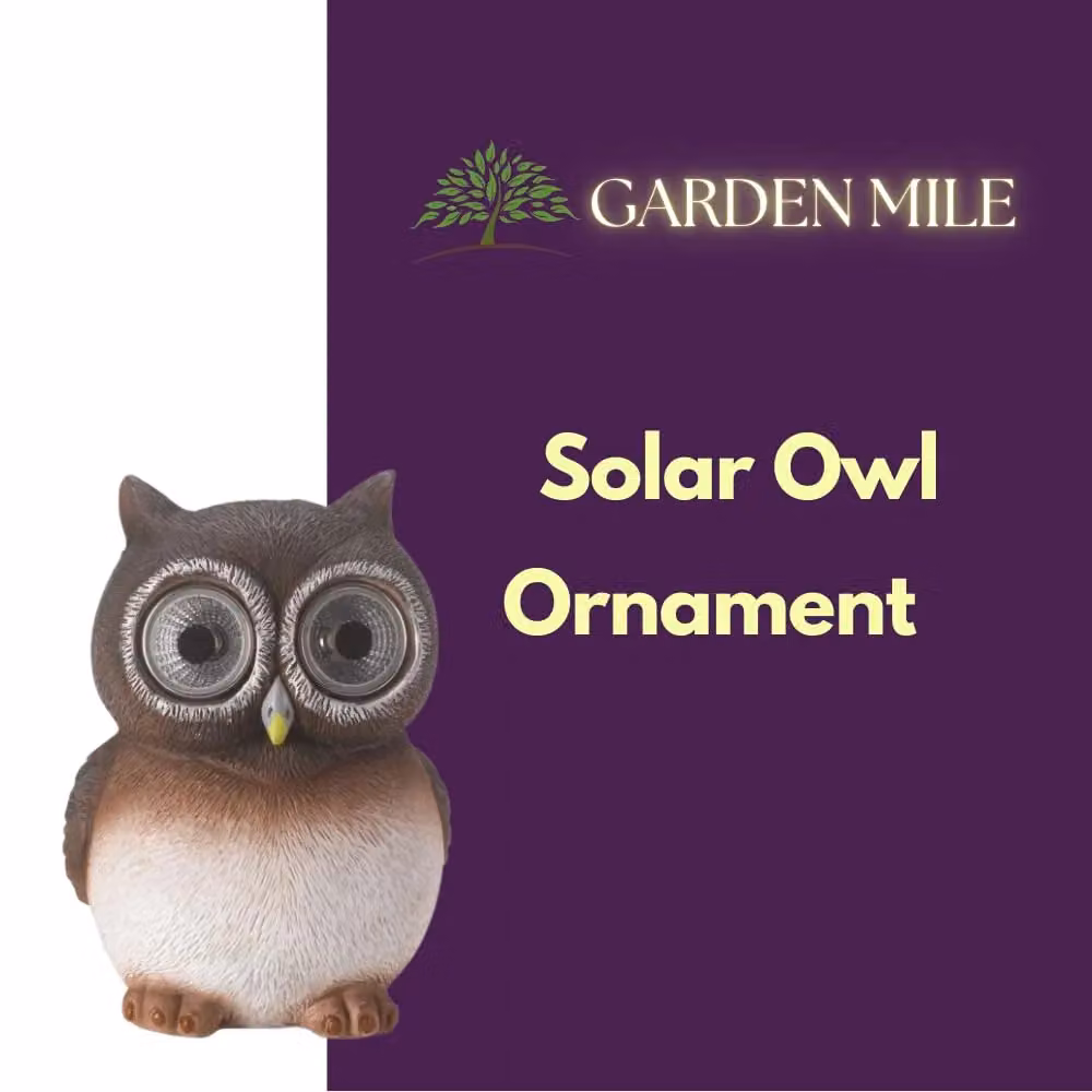 Marco Paul Brown Resin Solar Powered Owl Garden Ornament H: 12 cm – 3