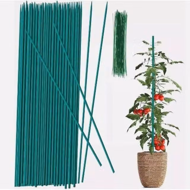 Garden Mile Pack of 50 Green Bamboo Garden Canes Plant Support Sticks, Height: 30 cm