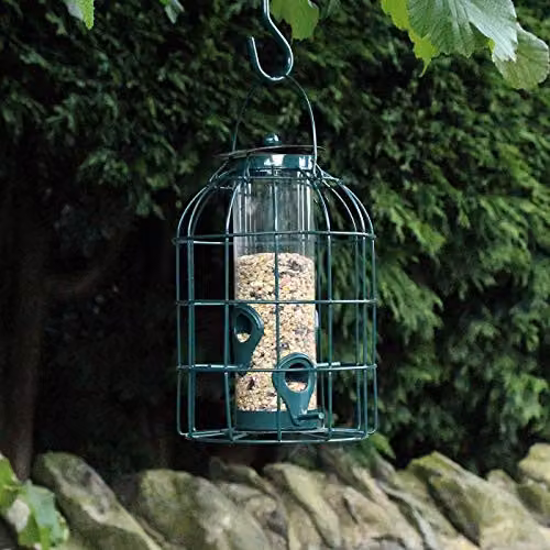 Samuel ALEXANDER Pack of 12 Metal Wild Bird Seed Feeder Cages with Squirrel Proof Guard – 2