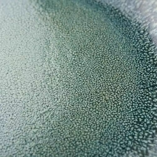 Scandi Home Rivah Green Stoneware Dinner Plates Set of 4, Diameter: 27 cm – 7
