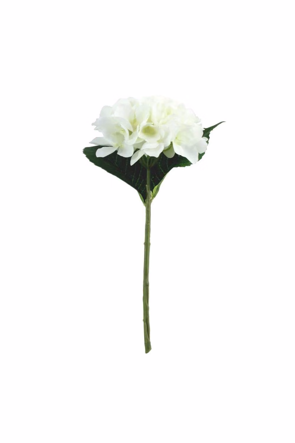 KDMD Ivory Arundel White Hydrangea 4 Pack – 2
