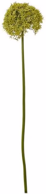 Lemon Pavilion Green Plastic Giant Allium Single Stem Flower, W21 x D21 x H90 cm