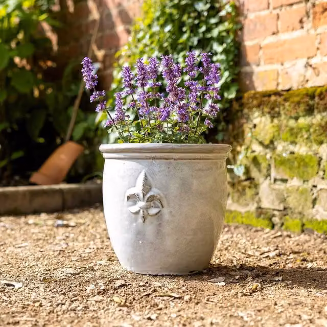Primrose Small Stoneware Debossed Logo Round Planter in Cream White, Diameter: 24 cm – 1