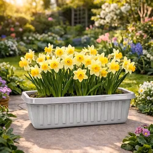 Simpa Set of 2 Plastic Chunky Trough Planter Pots in Grey, Length: 75 cm – 2