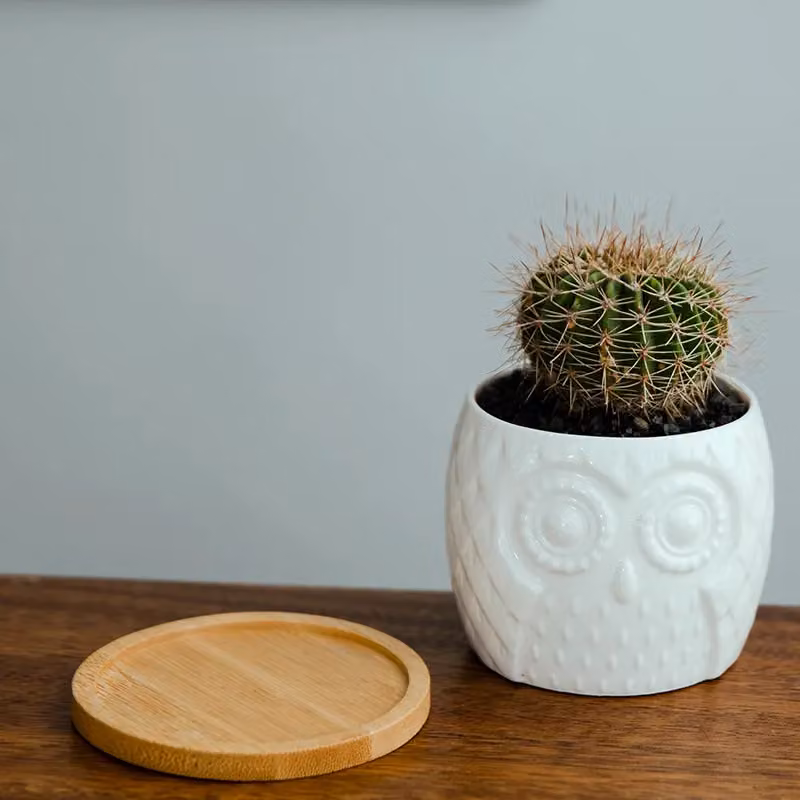 Simpa 6-Piece White Owl Ceramic Decorative Plant Pots, H 7.3 cm x Dia 7.3 cm – 4