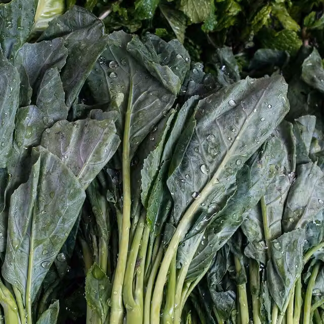 Marshalls Chinese Broccoli Kailaan Vegetable Seeds, 220 Seeds